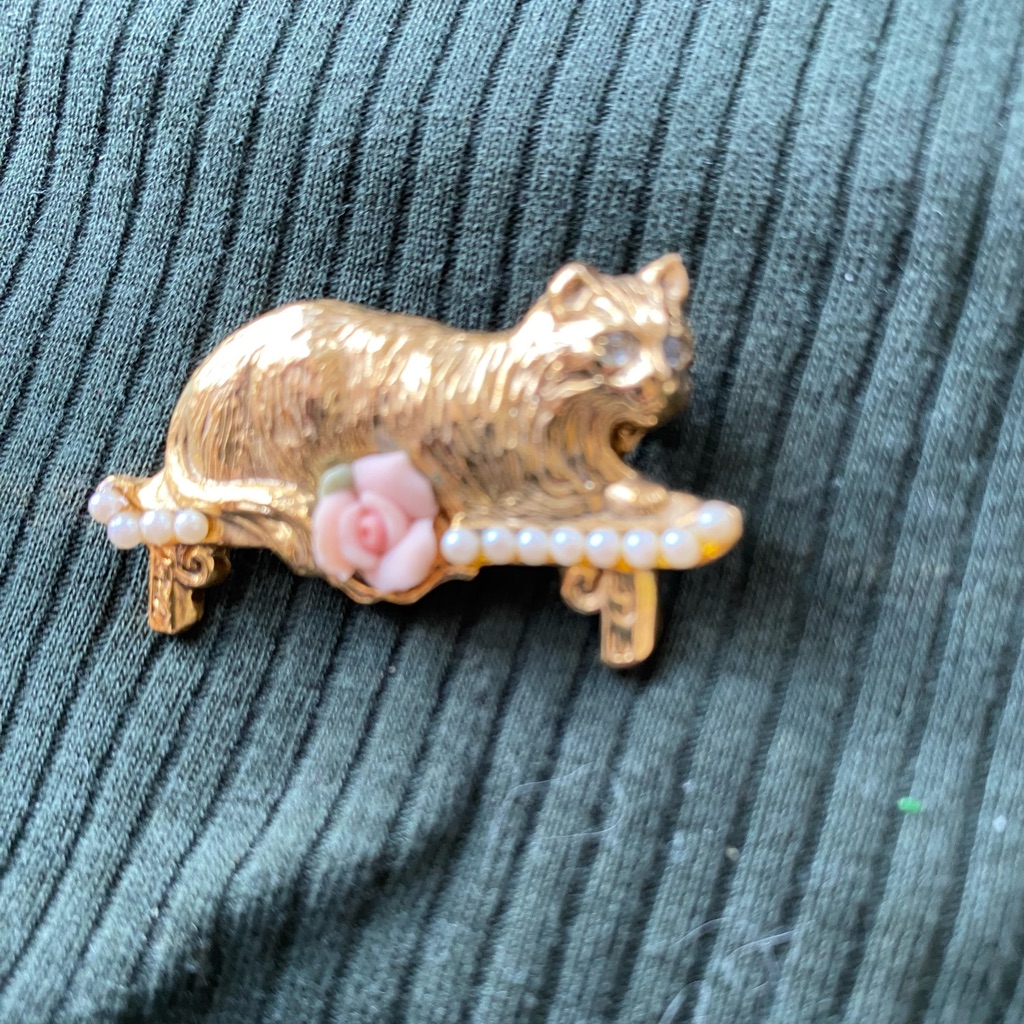 Kitty Pin